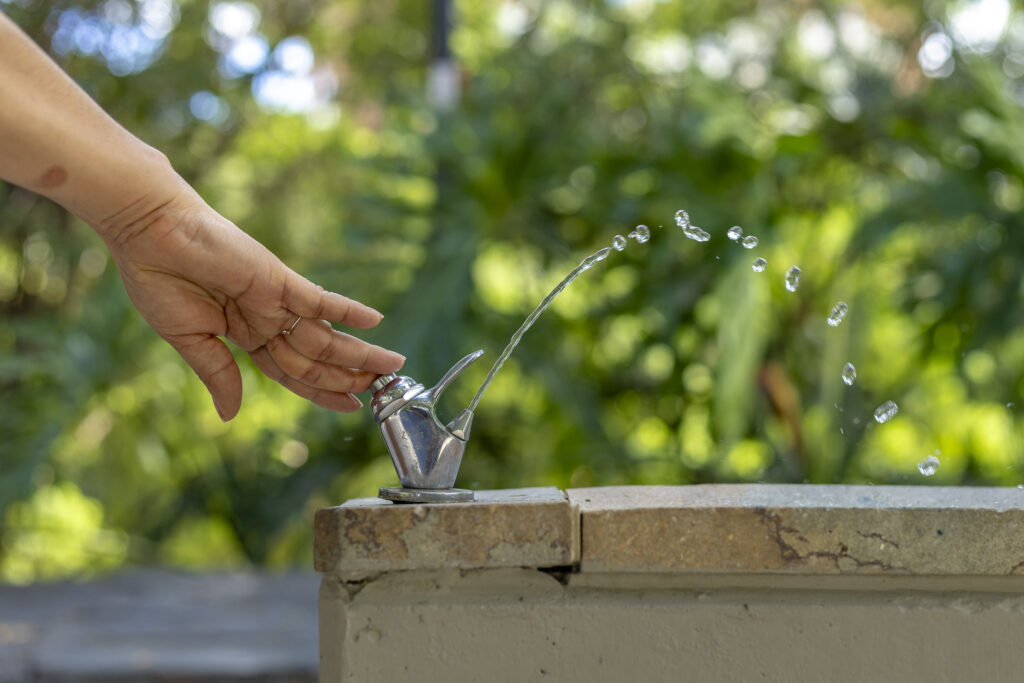 Eau post-canicule : comment préserver sa qualité ?
